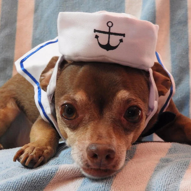 Navy Sailor Cat Costume