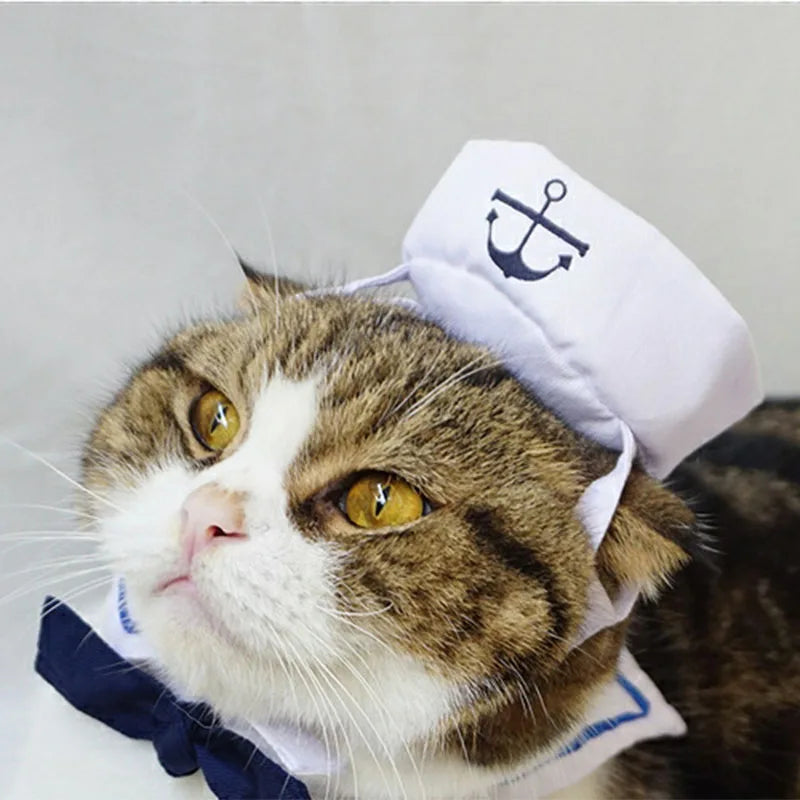 Navy Sailor Cat Costume