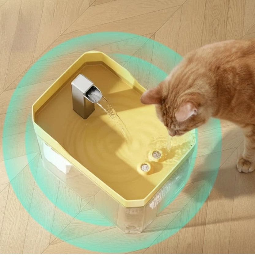 Cat Water Fountain