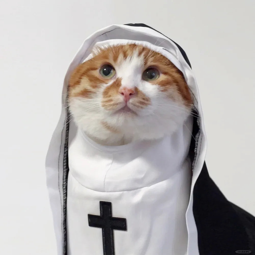 Funny Nun Cat Costume