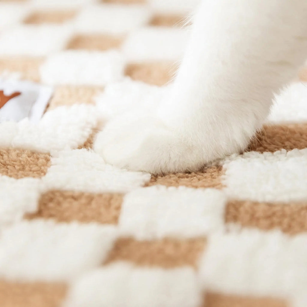 Cat Bed with Play Tunnels