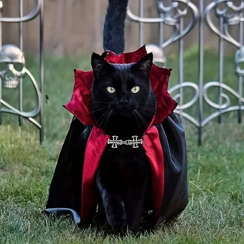 Vampire Cloak Costume