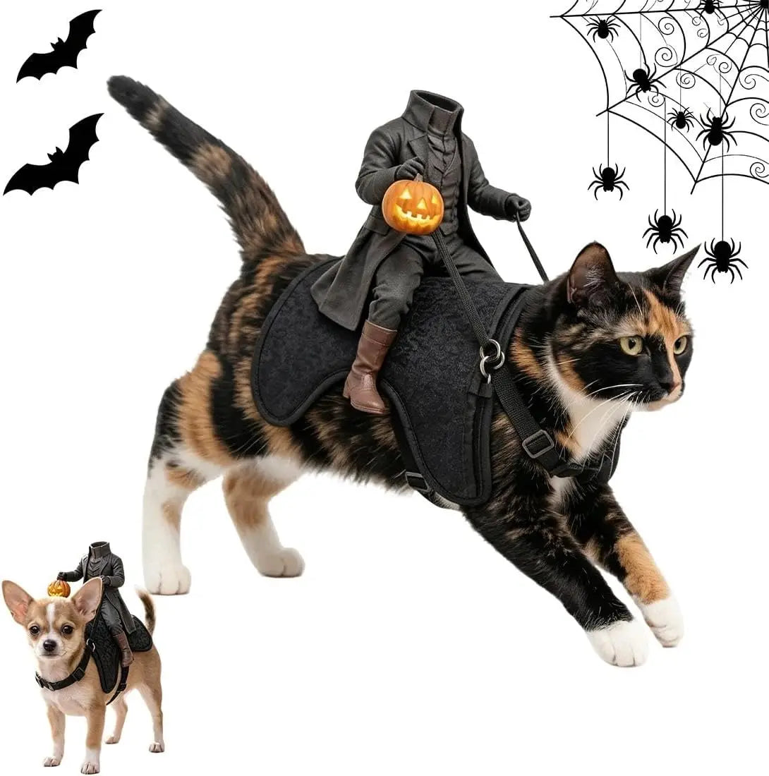 Headless Rider Cat Costume