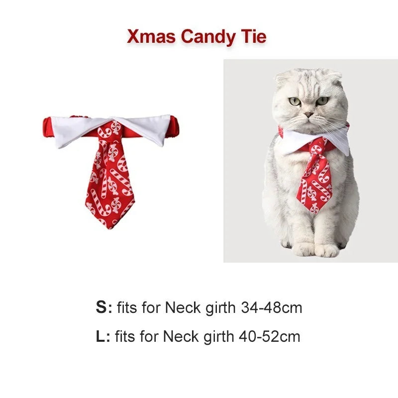 Christmas Cat Costume