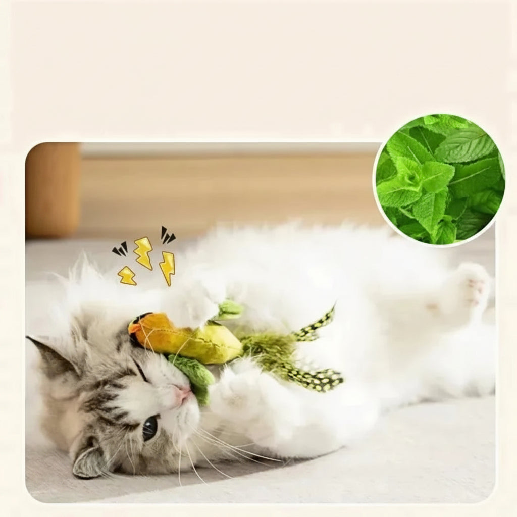 Bird Cat Toy with Real Sound