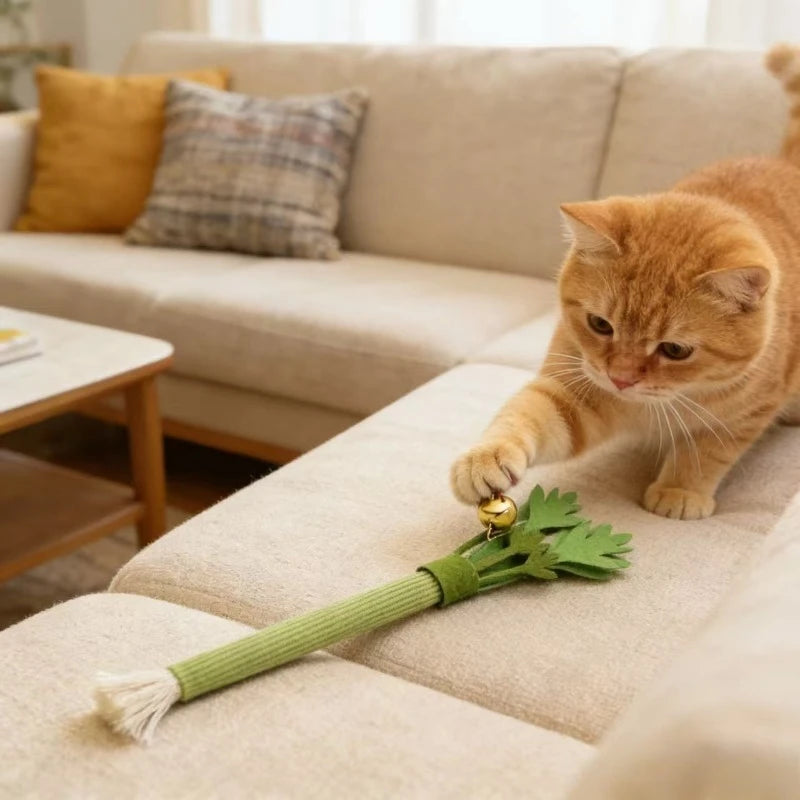 Catnip Chew Toys