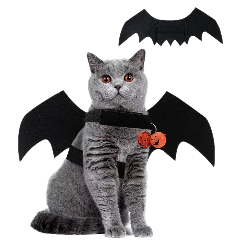 Bat Wings Cat Costume