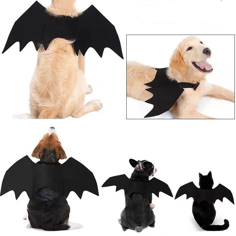 Bat Wings Cat Costume