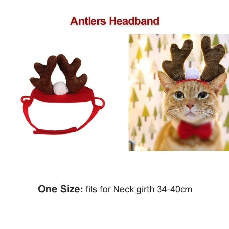Christmas Cat Costume