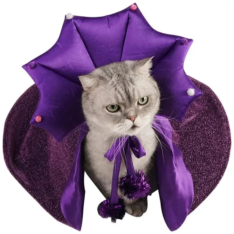Wizard Witch Cat Costume