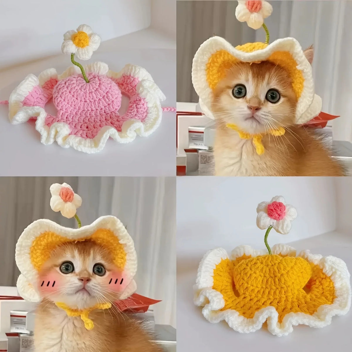 Cat Knit Hat