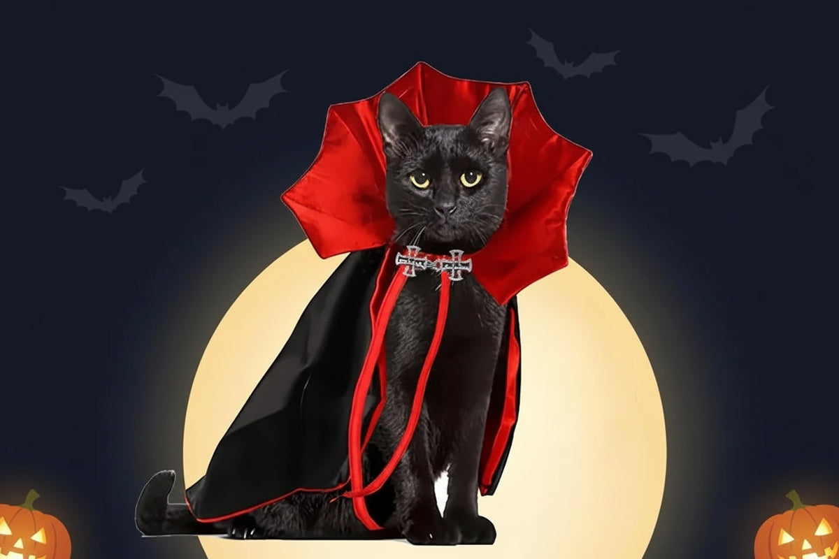 Vampire Cloak Costume