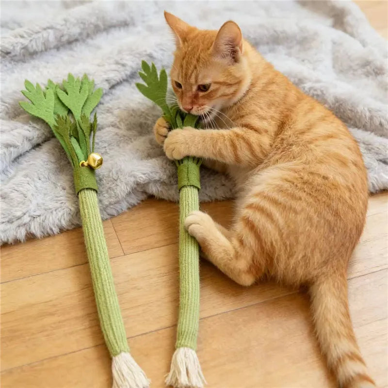 Catnip Chew Toys
