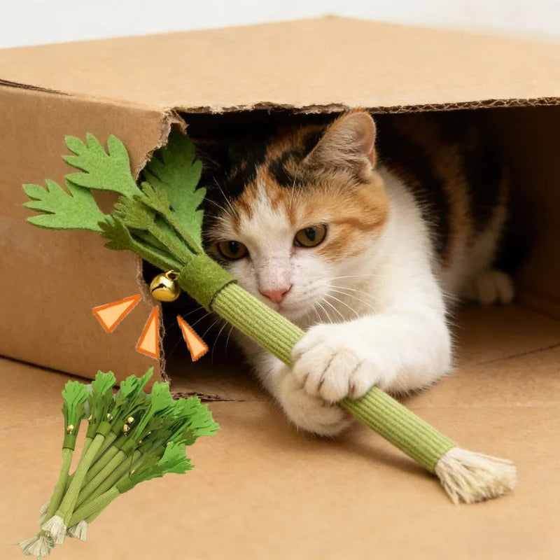 Catnip Chew Toys