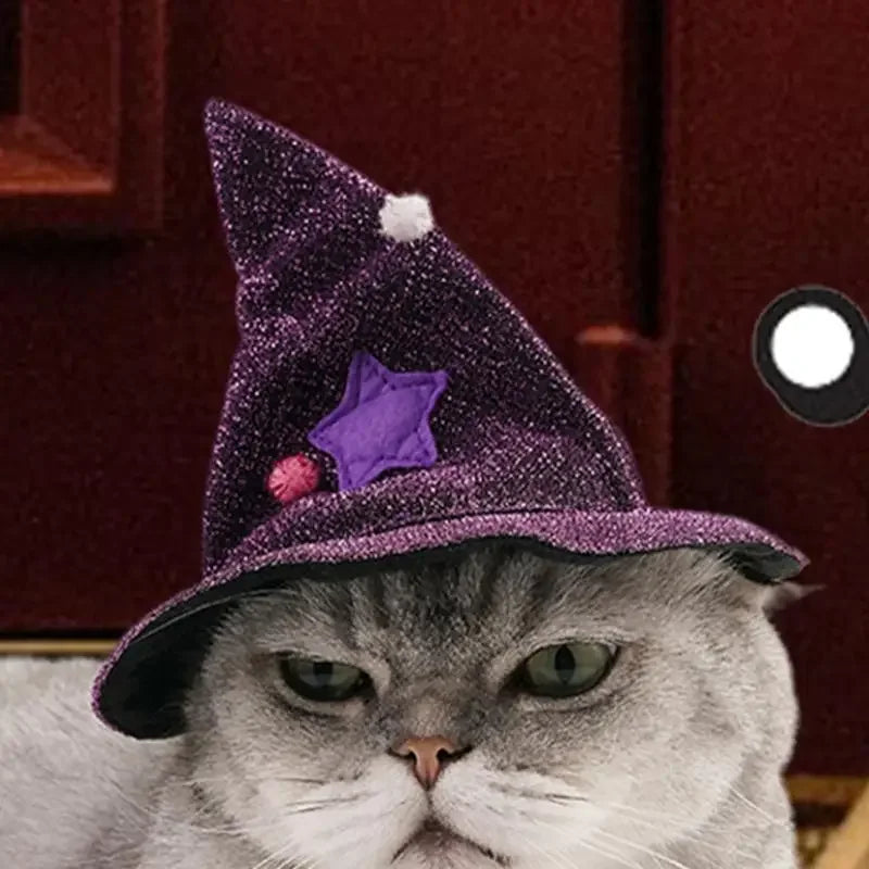 Wizard Witch Cat Costume