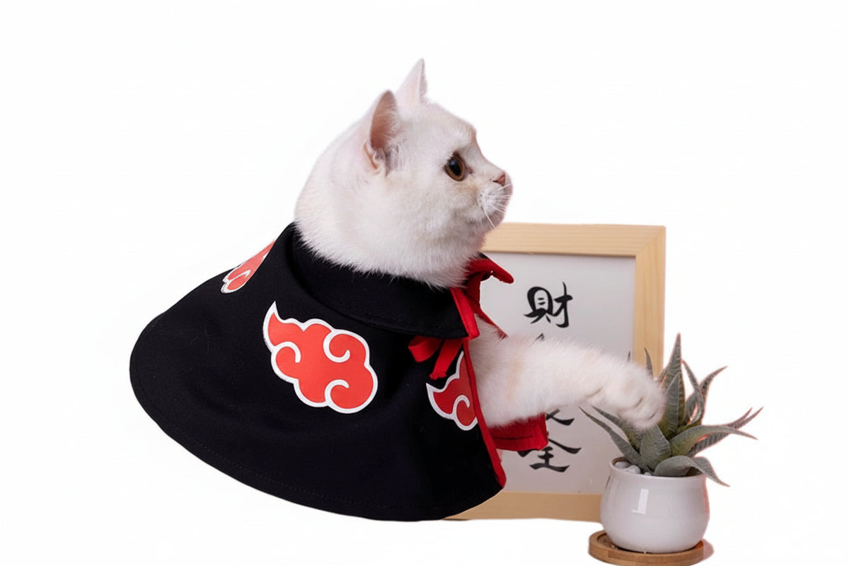 Japanese Cape Cat Costume