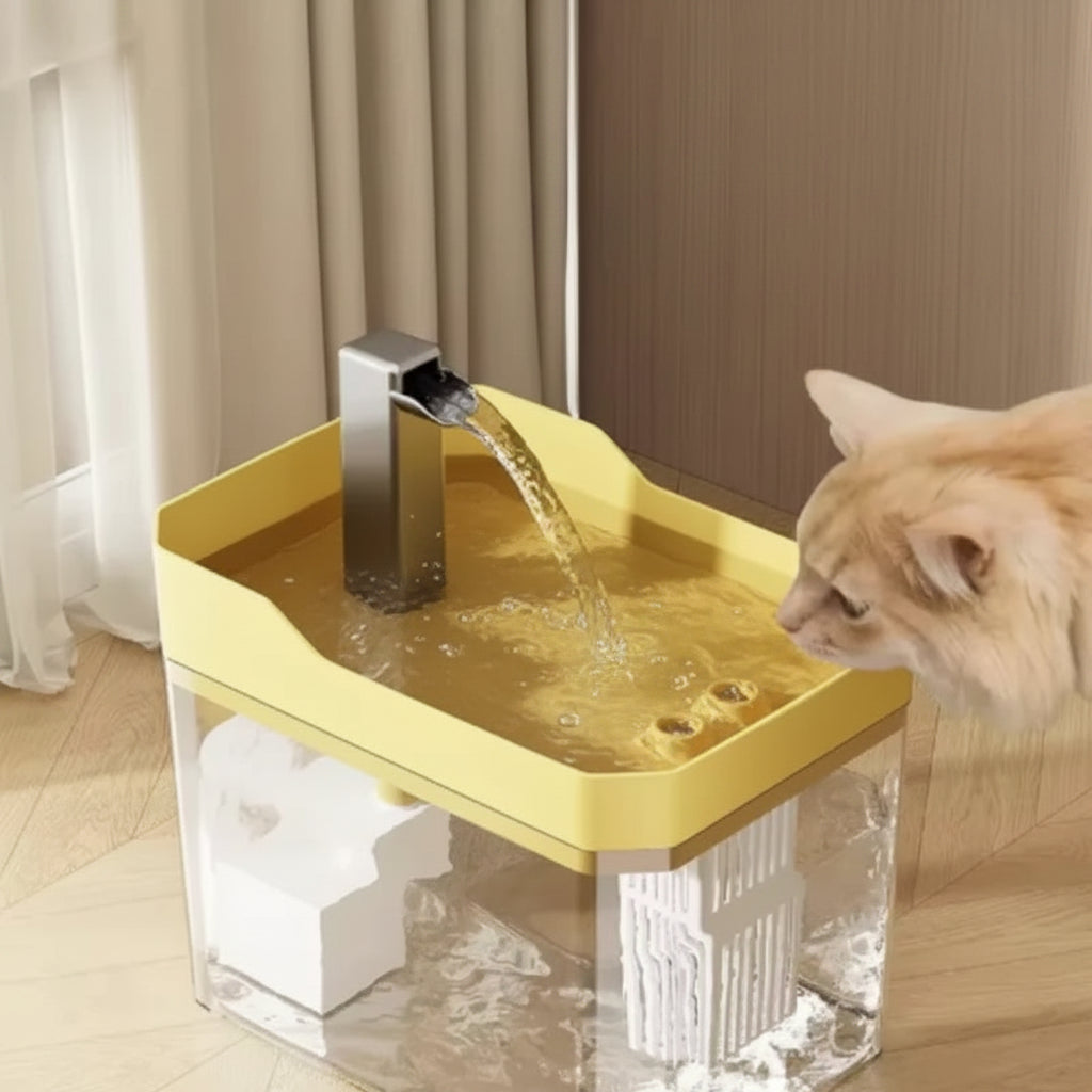 Cat Water Fountain