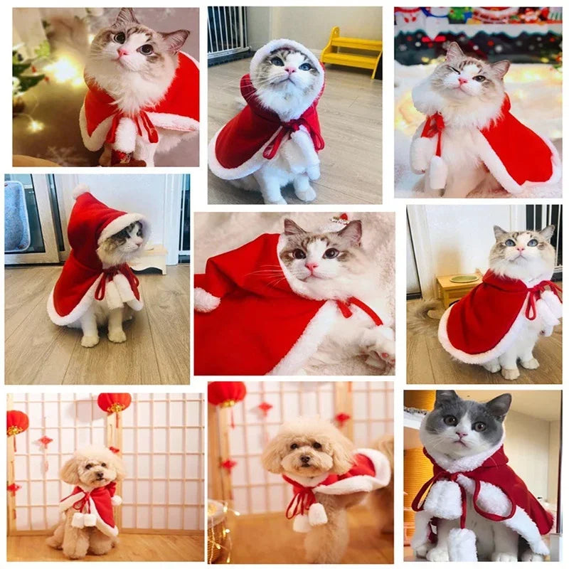 Christmas Cat Costume
