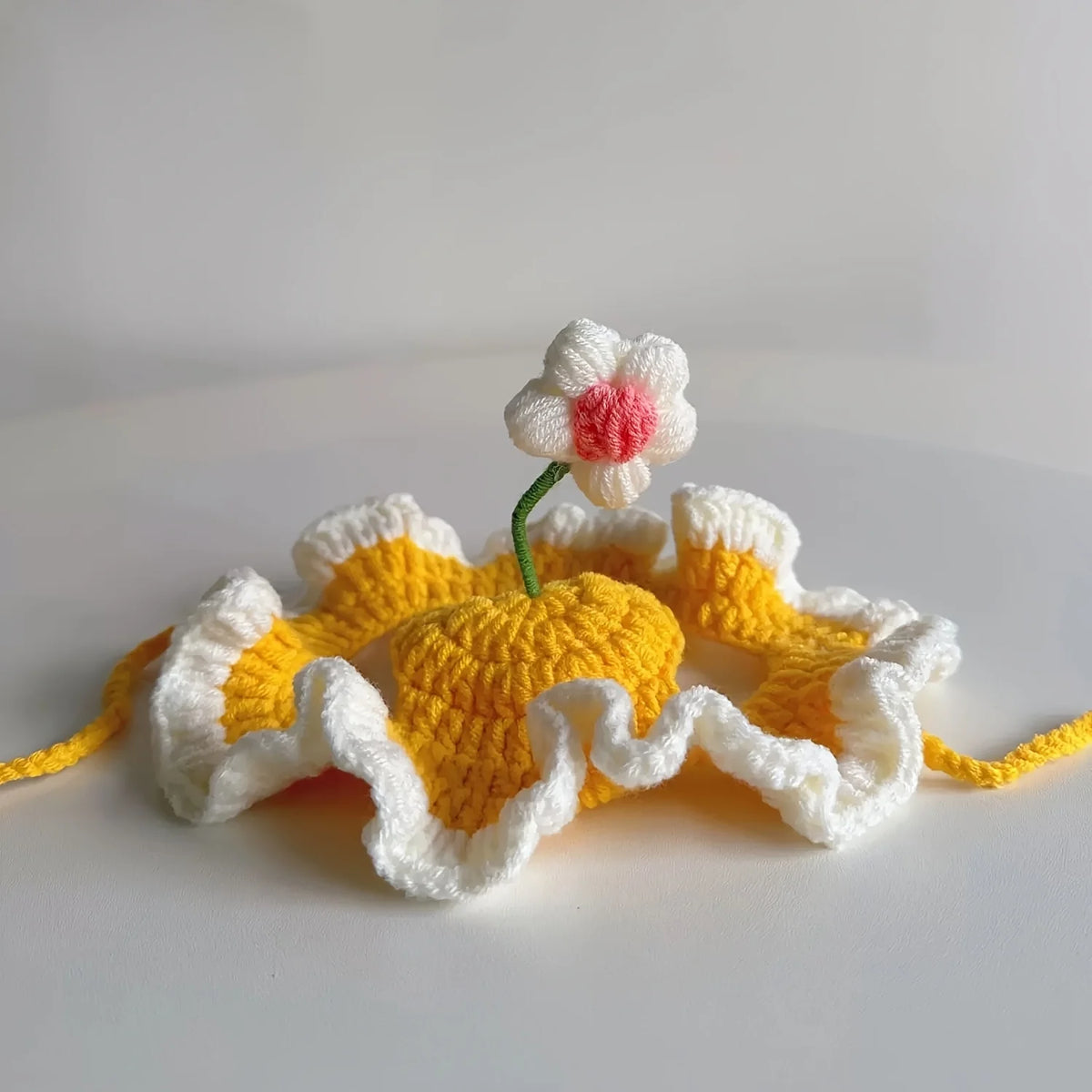 Cat Knit Hat