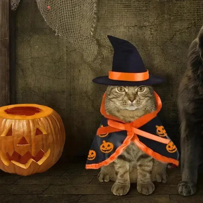 Pumpkin and Bat Cape Hat Costume