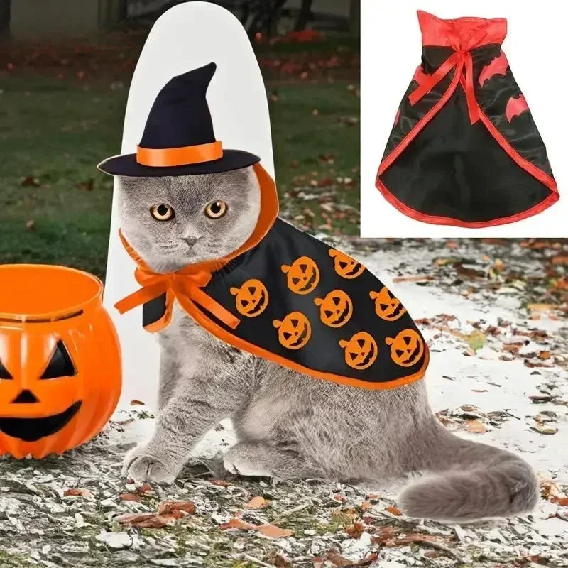 Pumpkin and Bat Cape Hat Costume