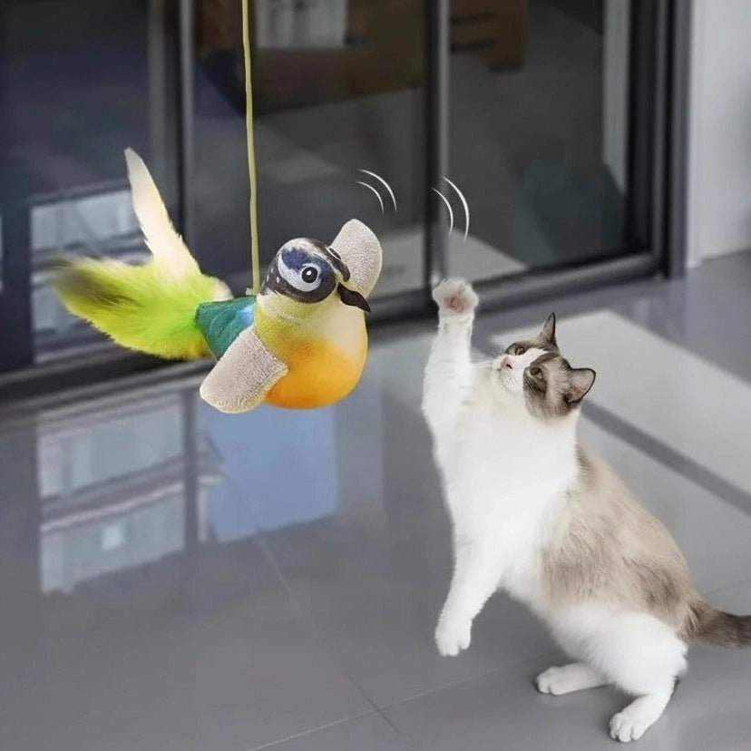 Bird Cat Toy with Real Sound