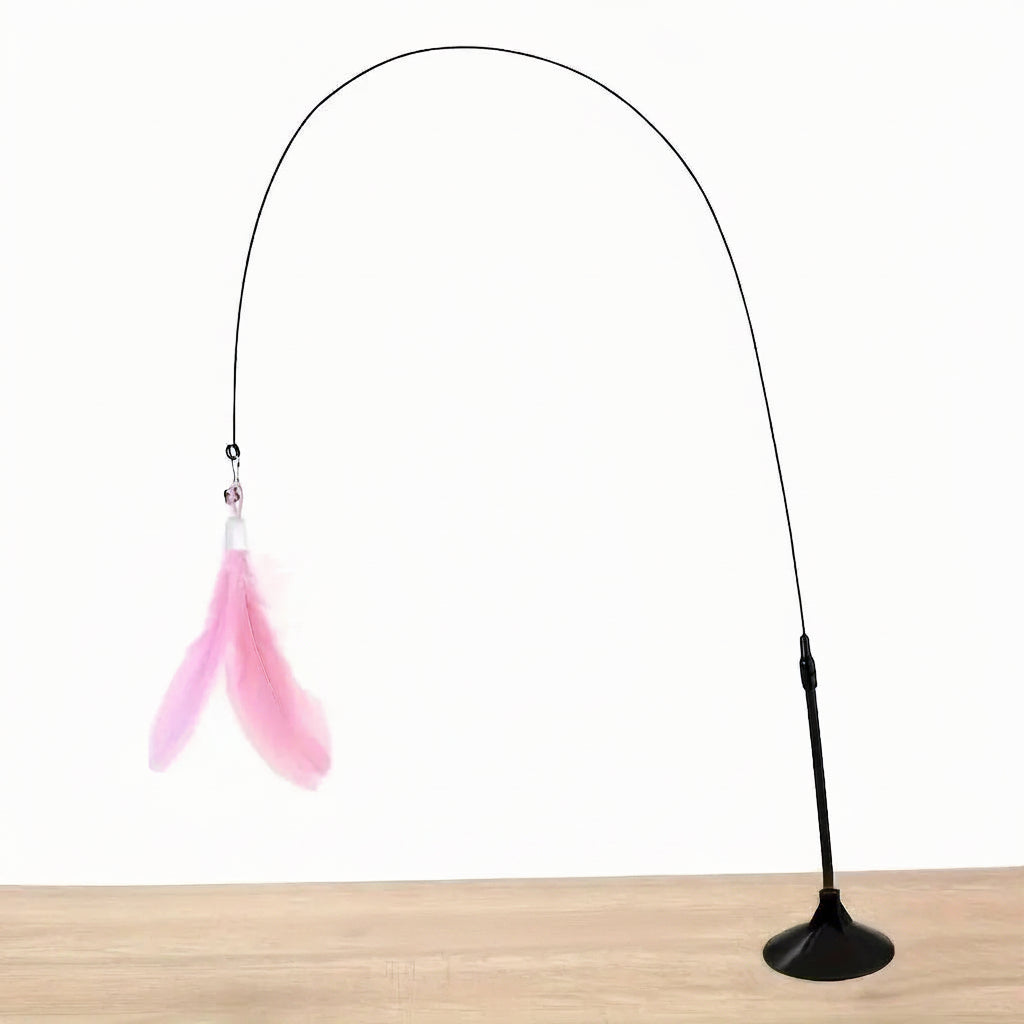 Cat Teaser Toy