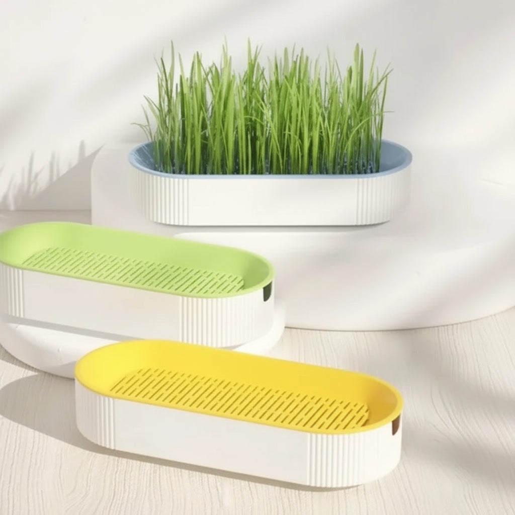 Hydroponic Cat Grass Kit