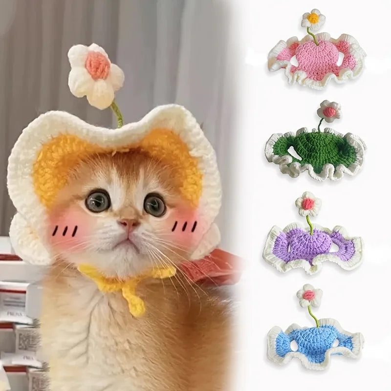 Cat Knit Hat