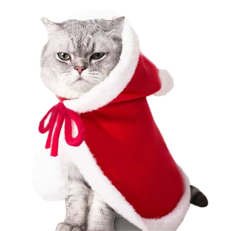 Christmas Cat Costume