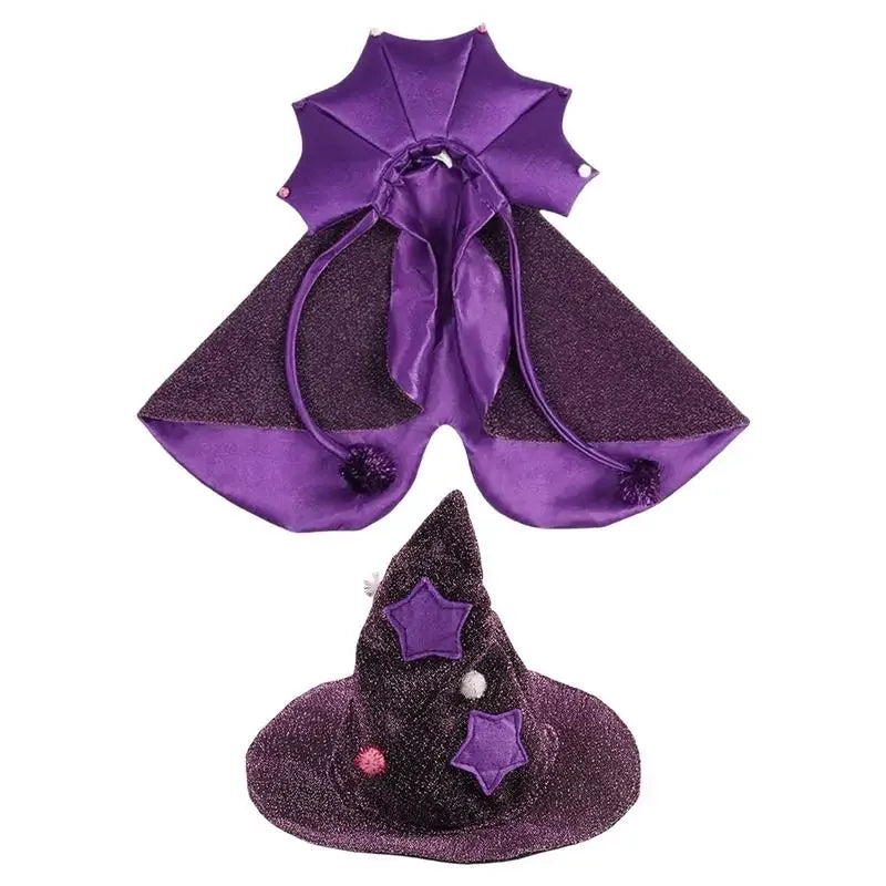 Wizard Witch Cat Costume