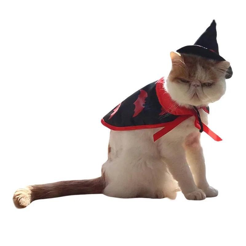 Pumpkin and Bat Cape Hat Costume